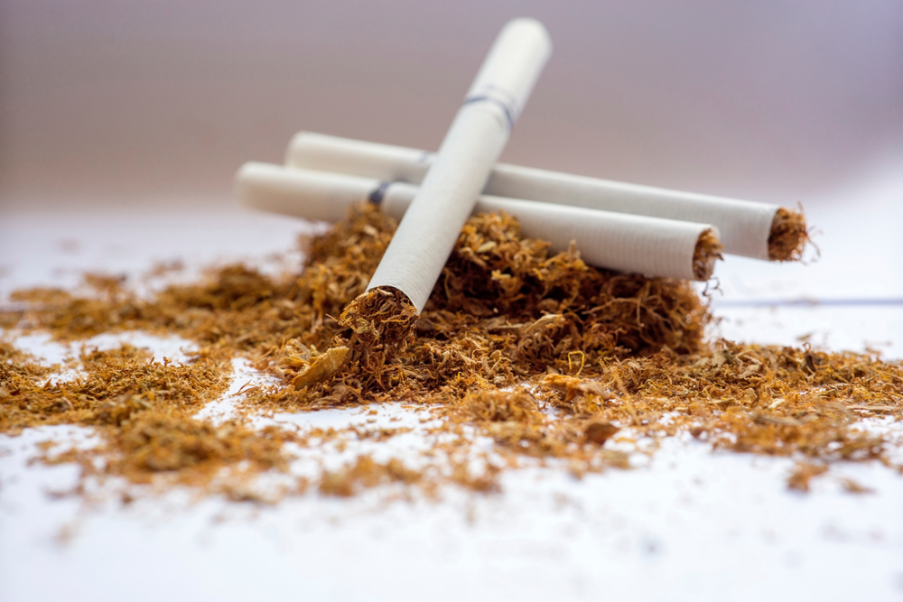 was tobacco a cash crop Cash Crop to Cash Cow: The History of Tobacco and Smoking in America eBook by Mary Meinking | Official Publisher Page was tobacco a cash crop Cash Crop to Cash Cow: The History of Tobacco and Smoking in America eBook by Mary Meinking | Official Publisher Page